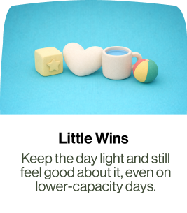 Little Wins Little Wins